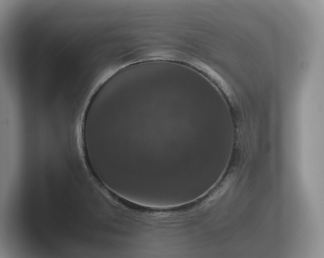 X0000102381373200808081129
