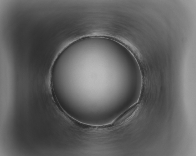 X0000102381374200808081129