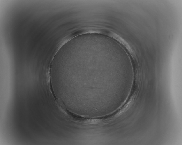 X0000102381377200808081129