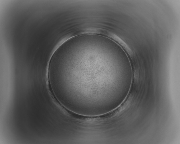 X0000102381378200808081129