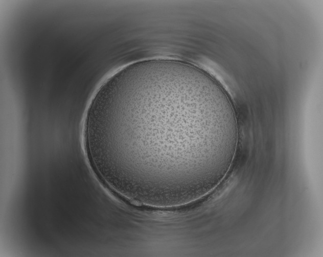 X0000102381379200808081128