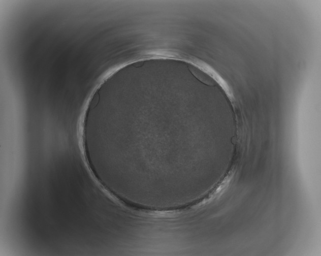 X0000102381381200808081128