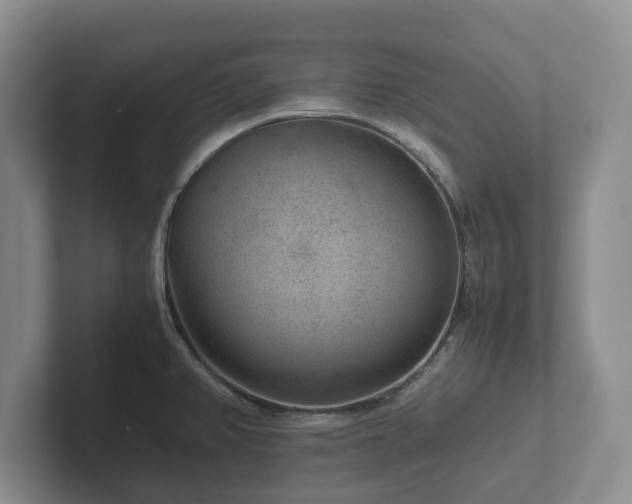 X0000102381382200808081128