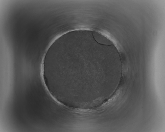 X0000102381383200808081128