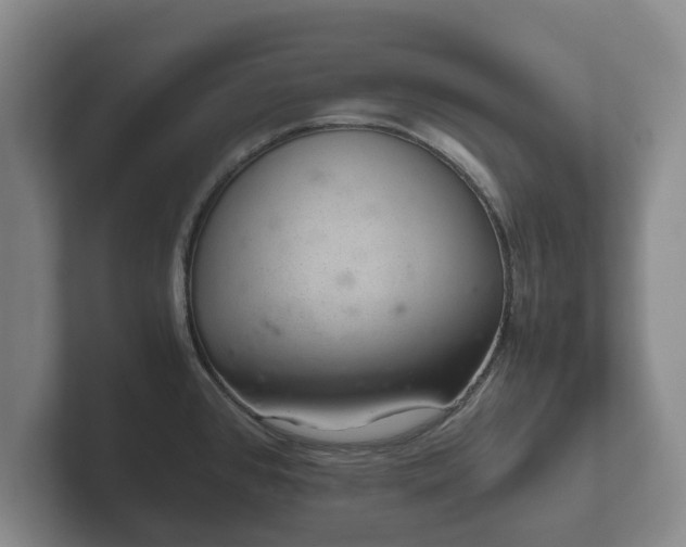 X0000102381384200808081128