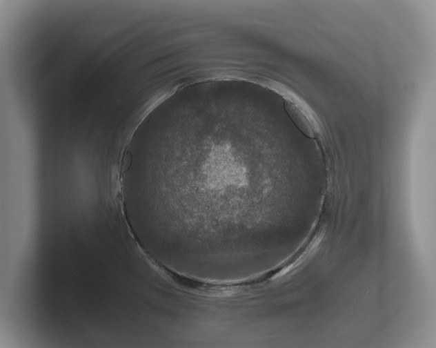 X0000102381385200808081128