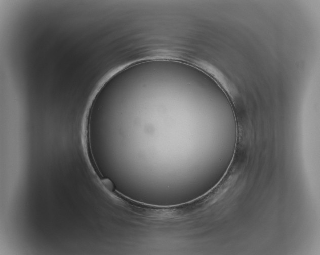 X0000102381387200808081128