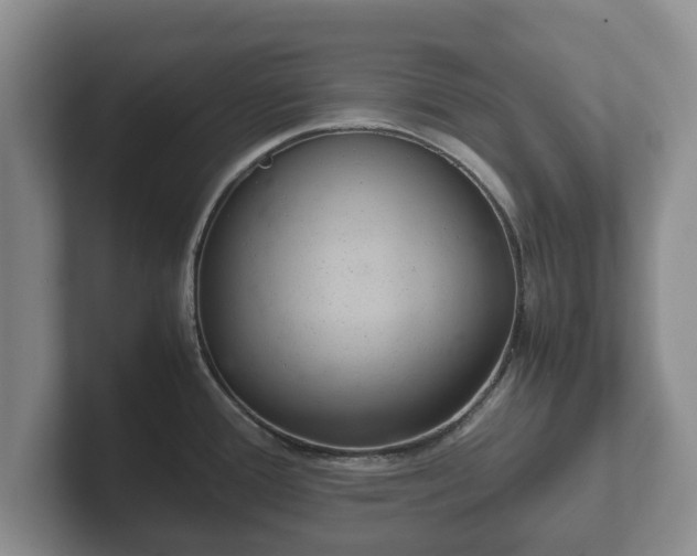 X0000102381388200808081128