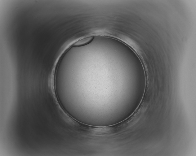 X0000102381392200808081128