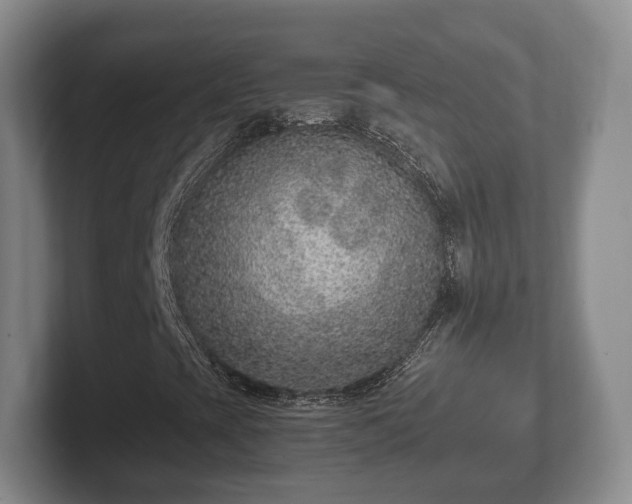 X0000102381393200808081128