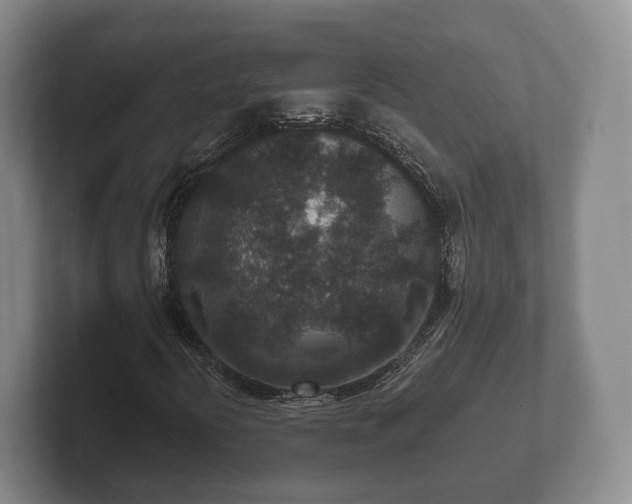 X0000102381394200808081128