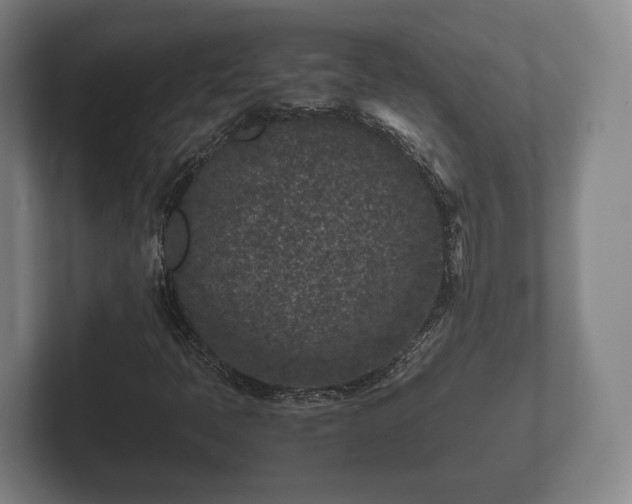 X0000102381397200808081128