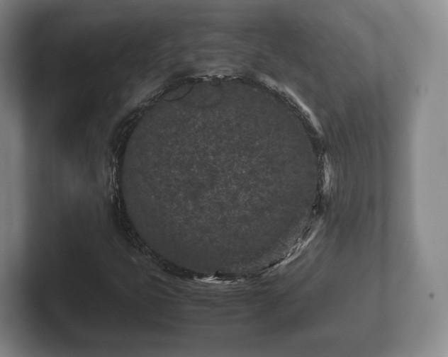 X0000102381399200808081128