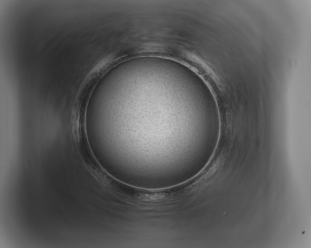 X0000102381403200808081128