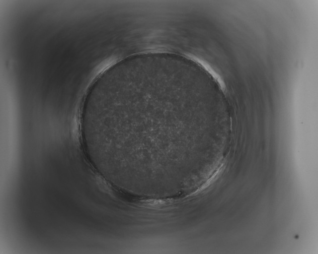 X0000102381405200808081128