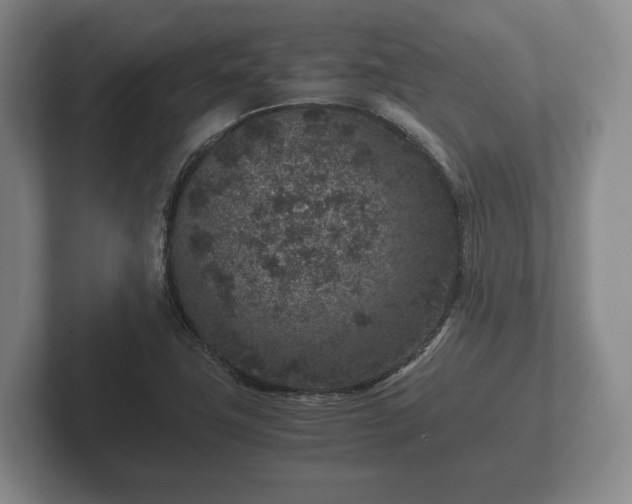 X0000102381411200808081128