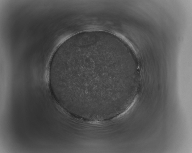 X0000102381413200808081128