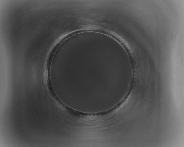 X0000102381414200808081128