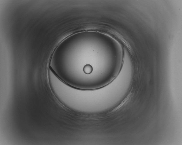 X0000102381417200808081128