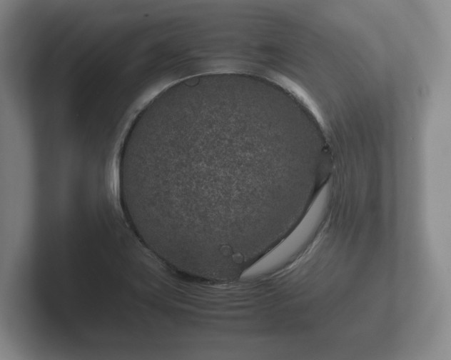 X0000102381419200808081128