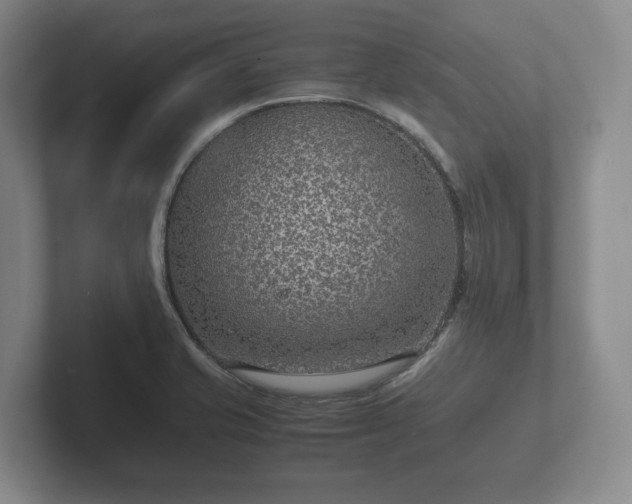X0000102381421200808081128