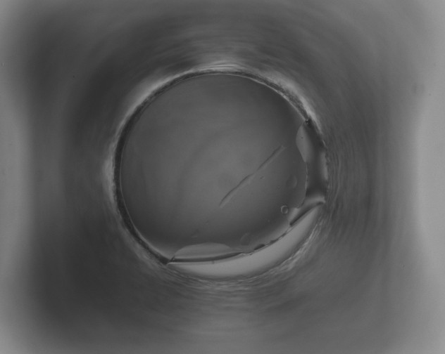 X0000102381422200808081128