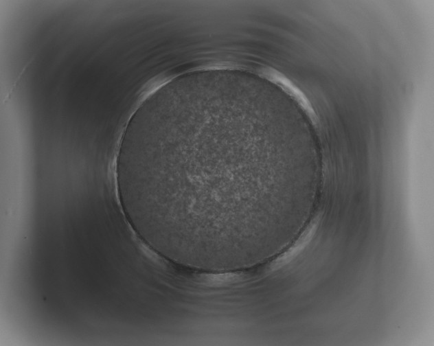 X0000102381425200808081128