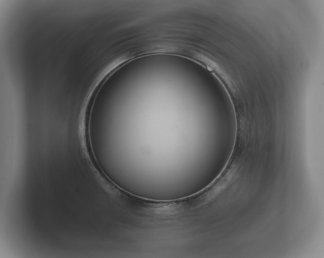X0000102381426200808081128