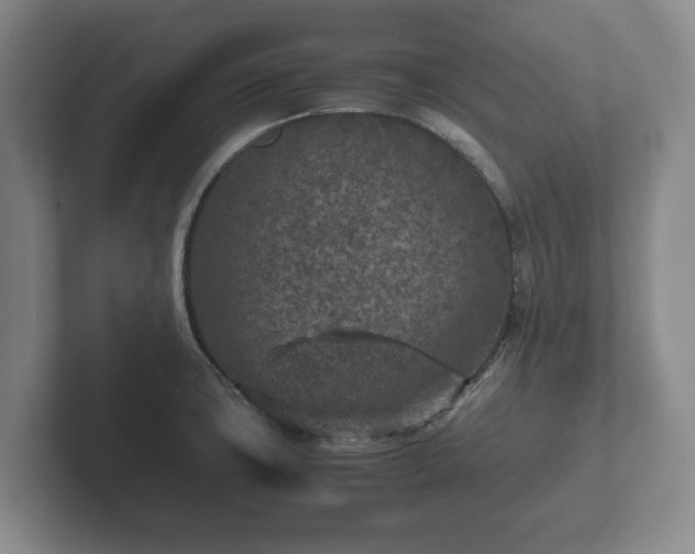 X0000102381427200808081128