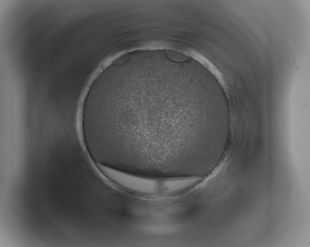 X0000102381429200808081128