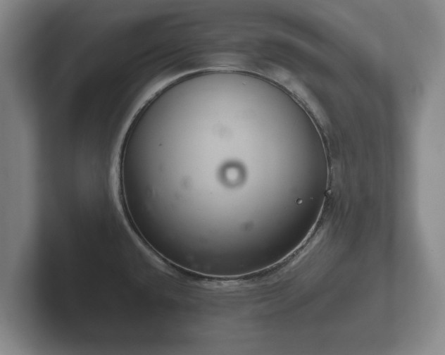X0000102381432200808081128