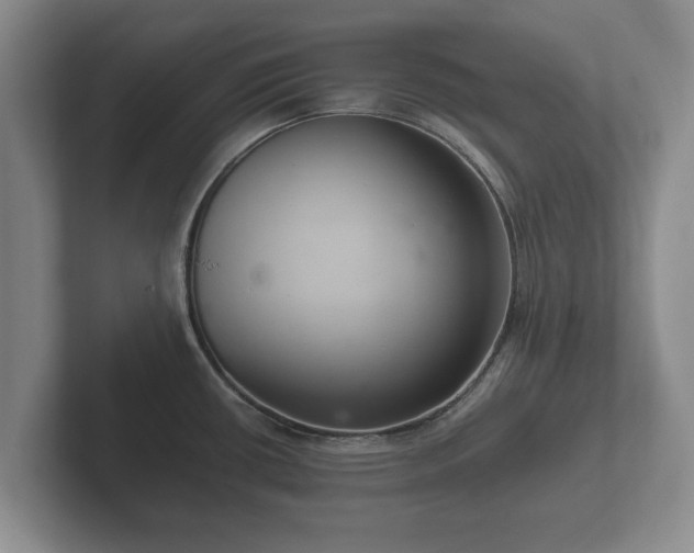X0000102381434200808081128