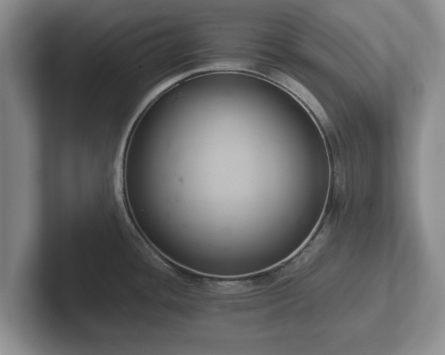 X0000102381436200808081128