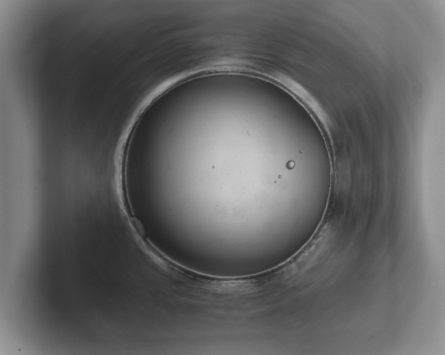 X0000102381437200808081128