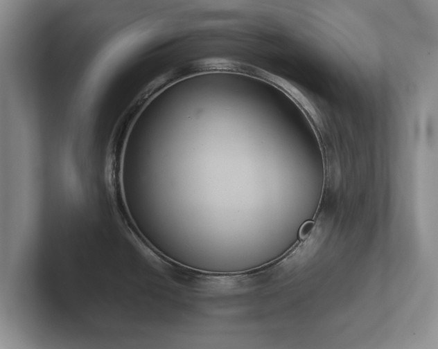 X0000102381438200808081128