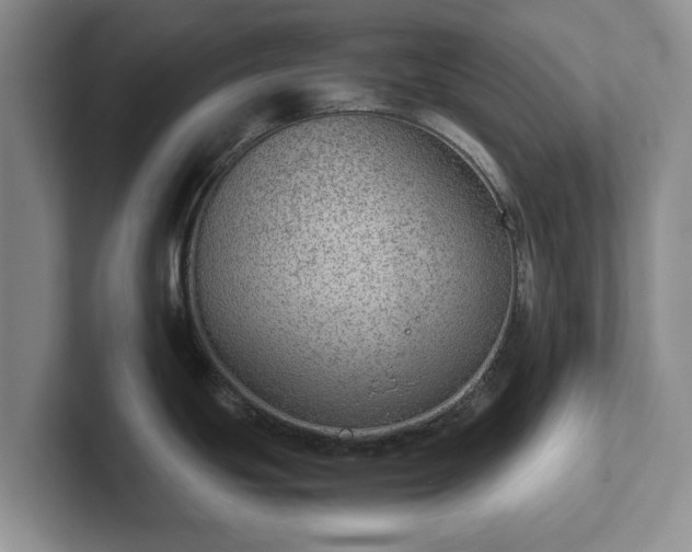 X0000102381439200808081128