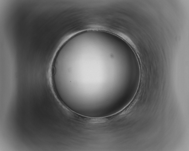 X0000102381440200808081128