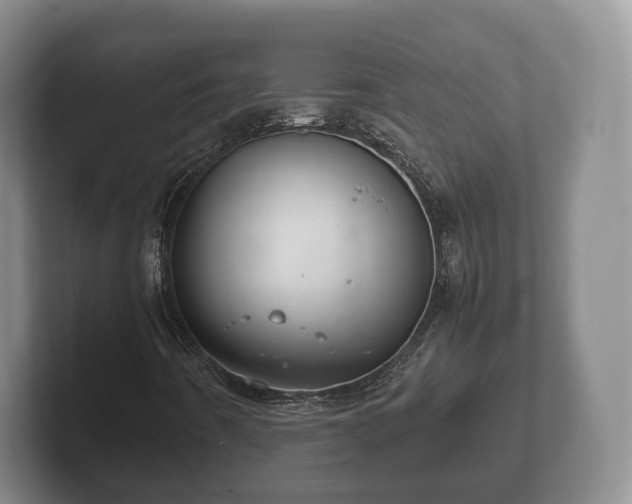 X0000102381442200808081128