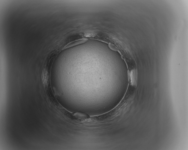X0000102381443200808081128