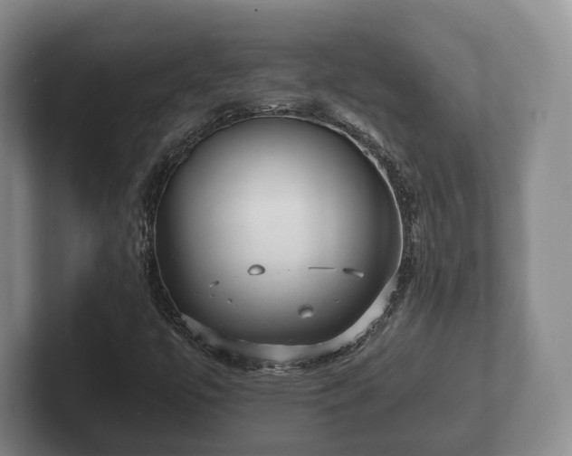 X0000102381447200808081128