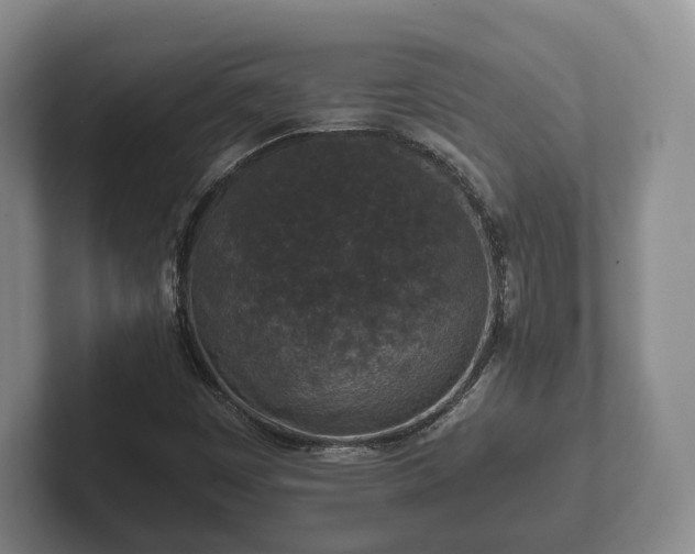 X0000102381449200808081127