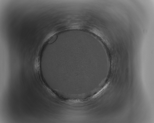 X0000102381450200808081127