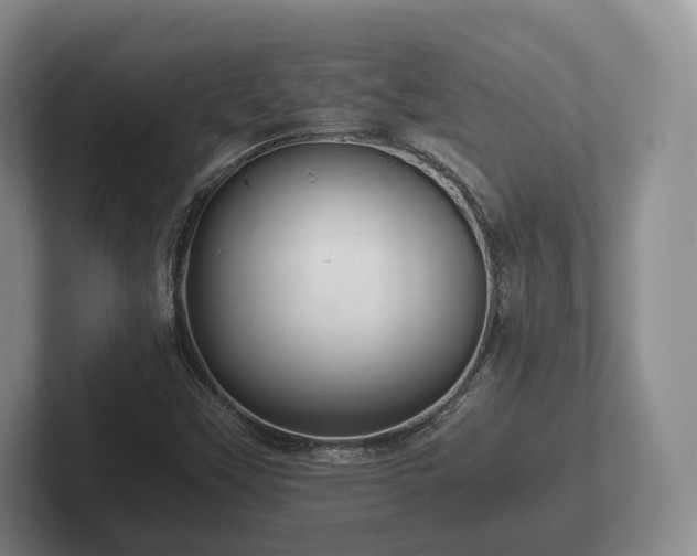 X0000102381451200808081127
