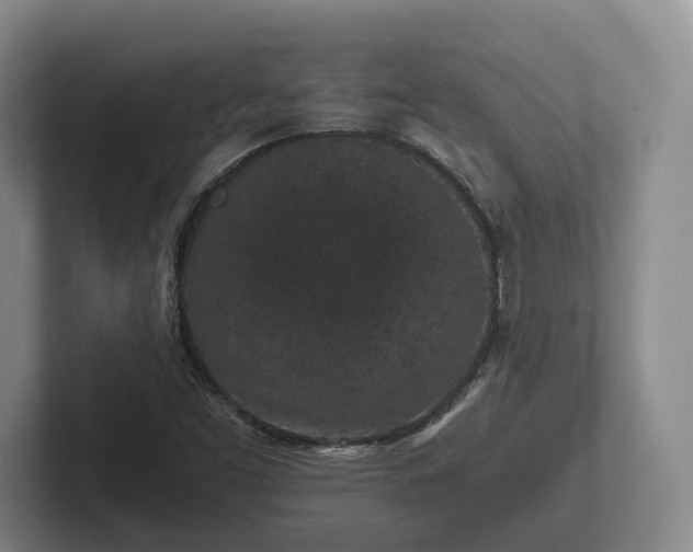 X0000102381453200808081127