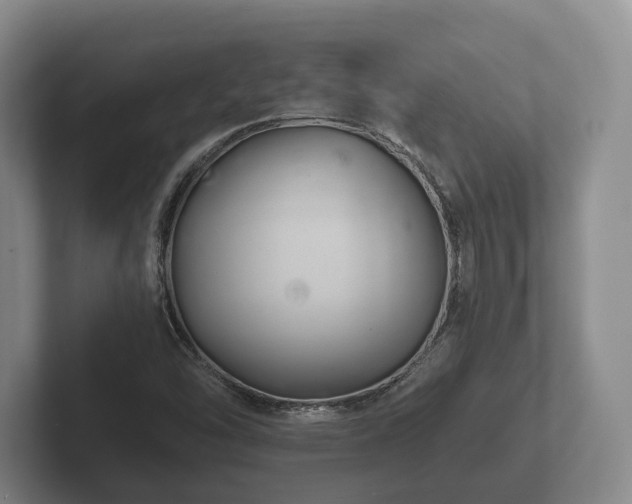 X0000102381454200808081127