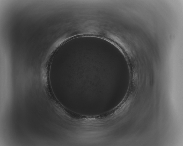 X0000102381455200808081127