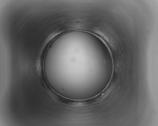 X0000102381458200808081127