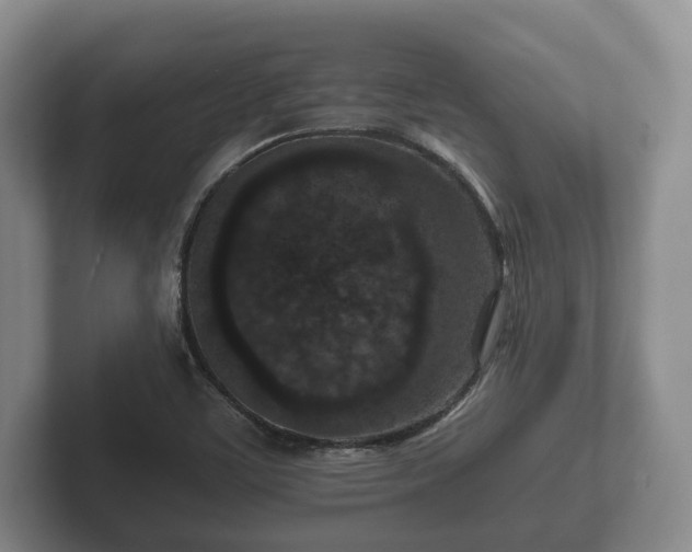 X0000102381459200808081127