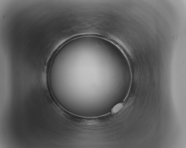 X0000102381460200808081127