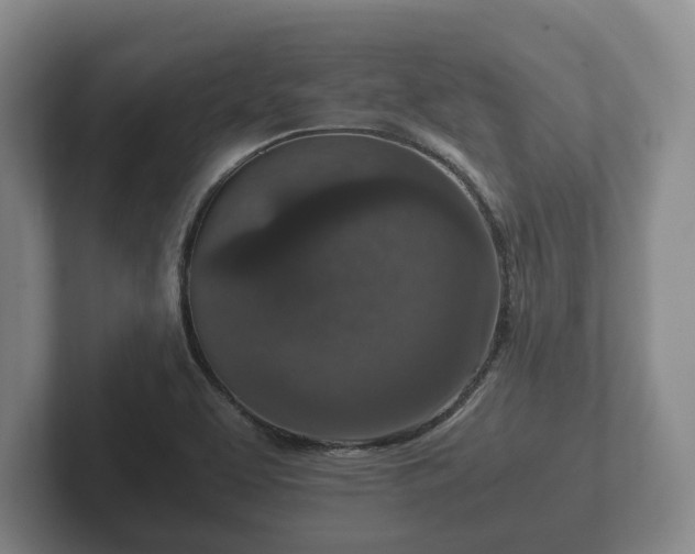 X0000102381463200808081127
